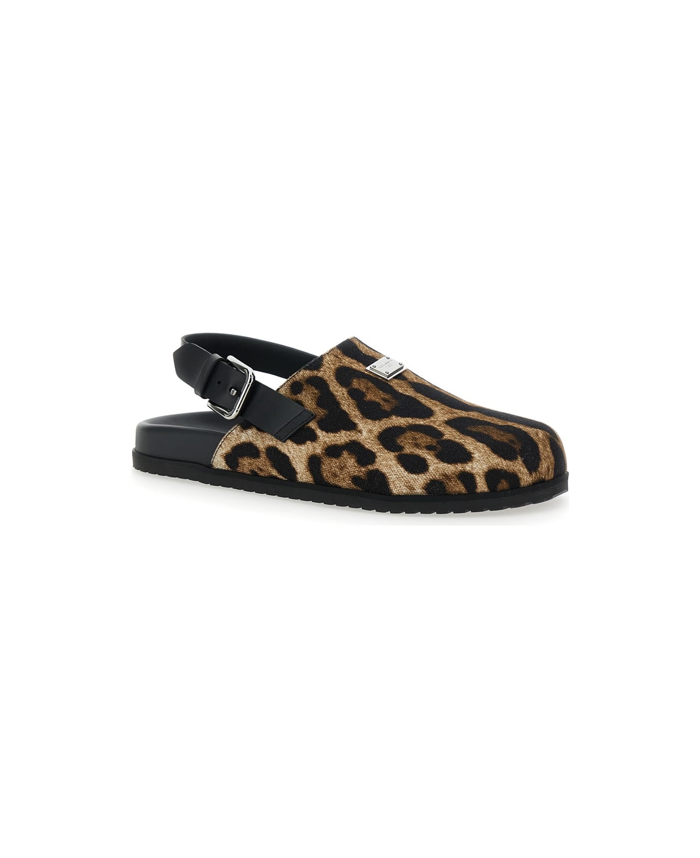 Leopard Dg Day - 2