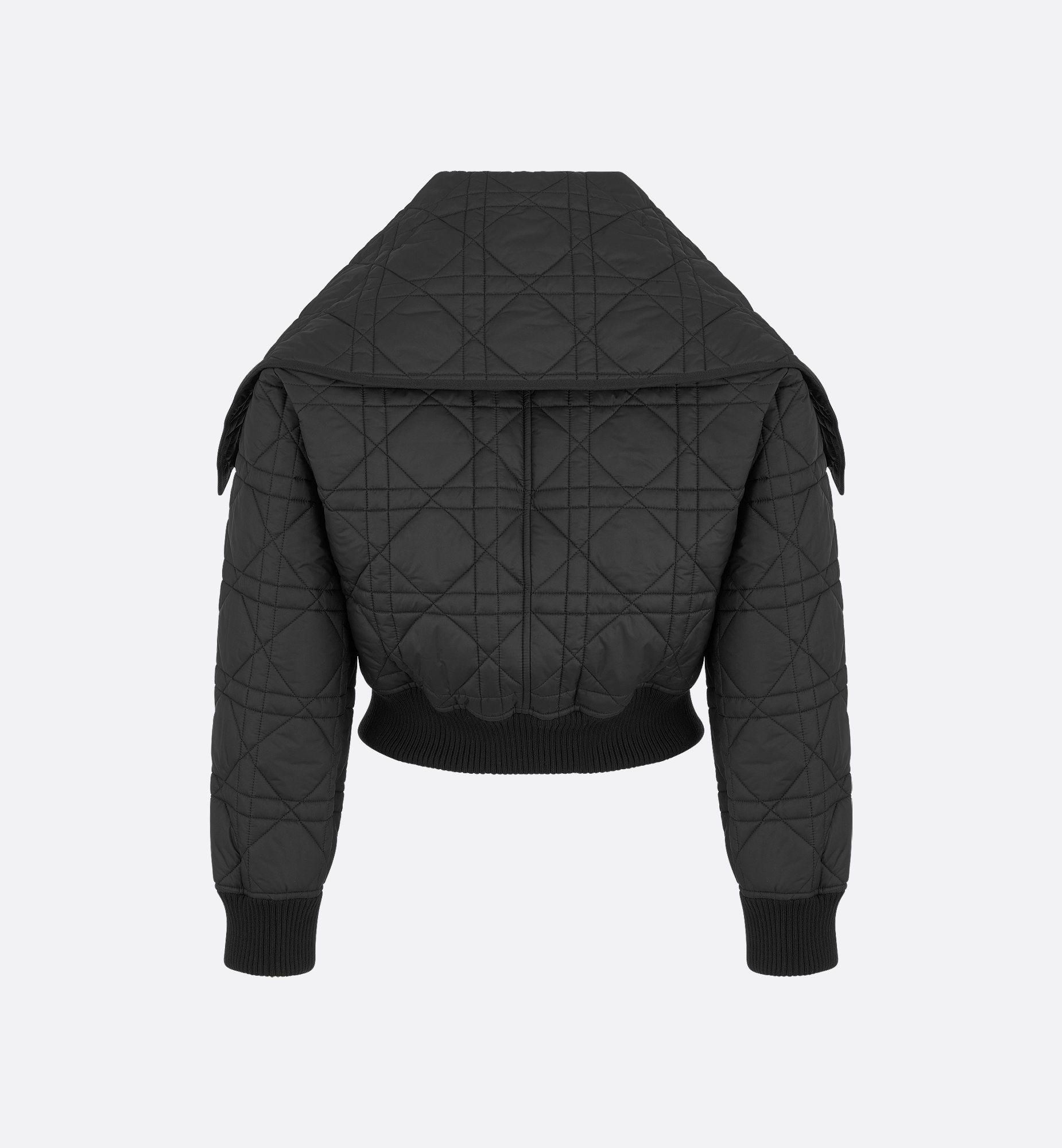 Macrocannage Bomber Jacket with Oversized Collar - 2