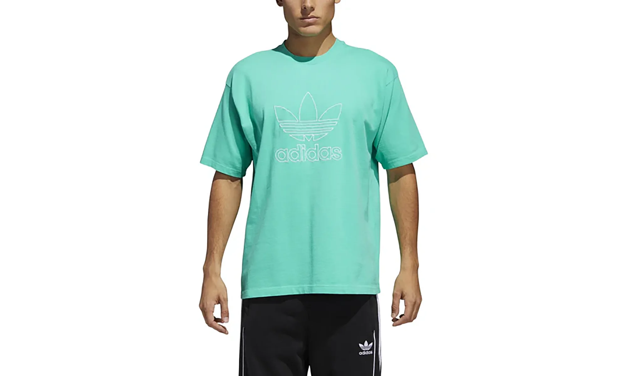 Signiture Tee "Hi-Res Green / White" CE4835 - 1
