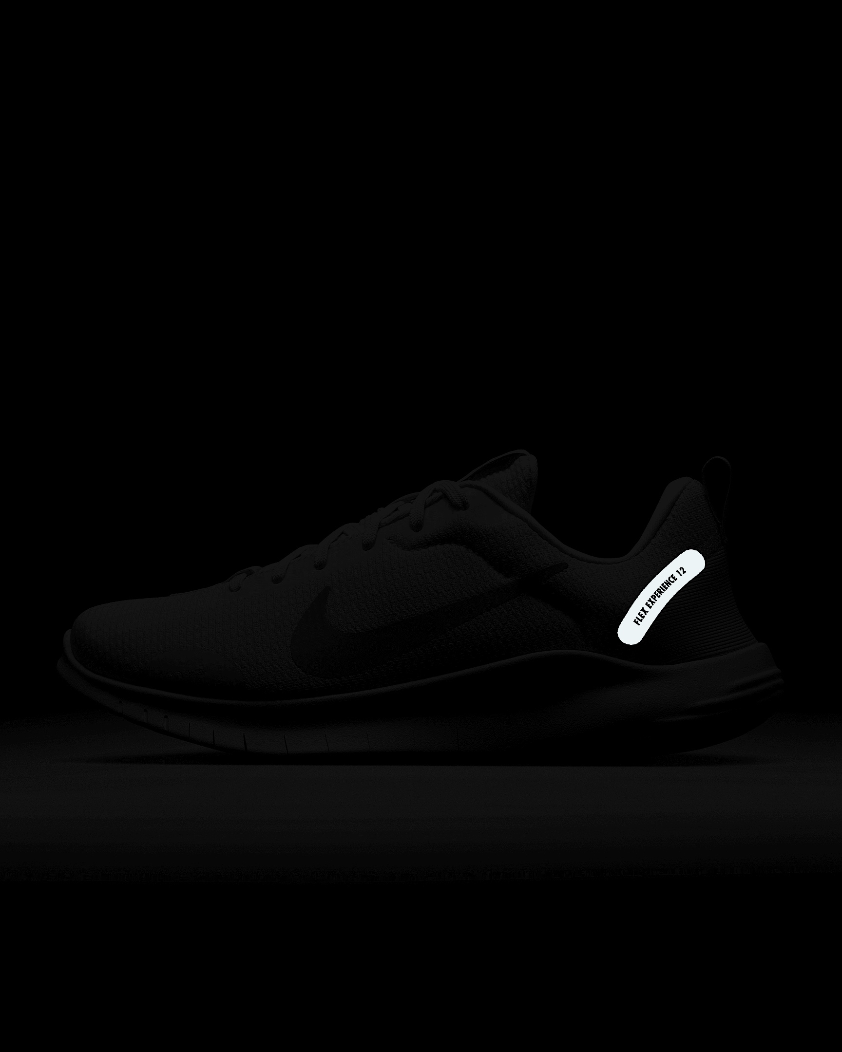 Nike Flex Experience Run 12 Women's Road Running Shoes - 10