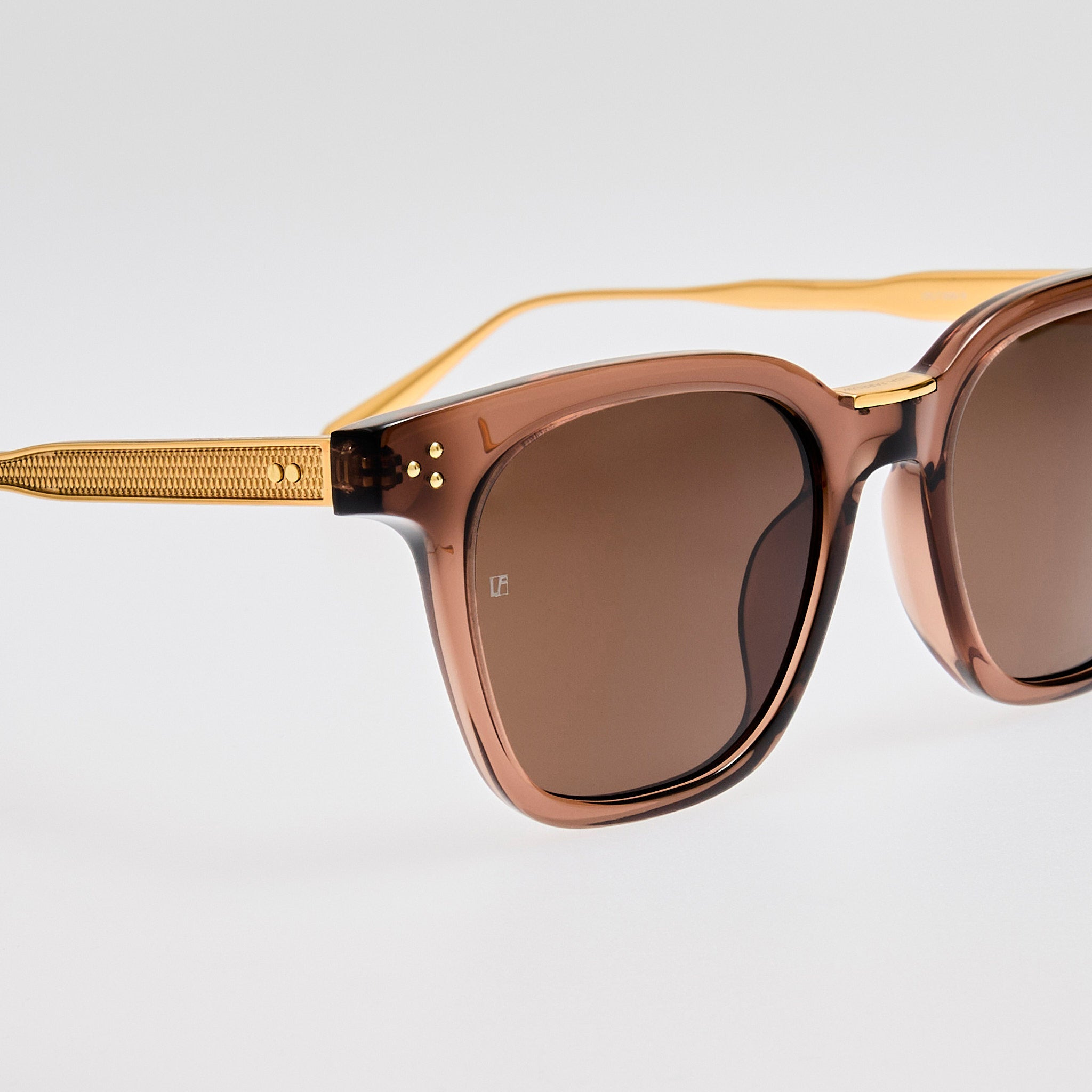 Evan Sunglasses in Brown and Gold - 3