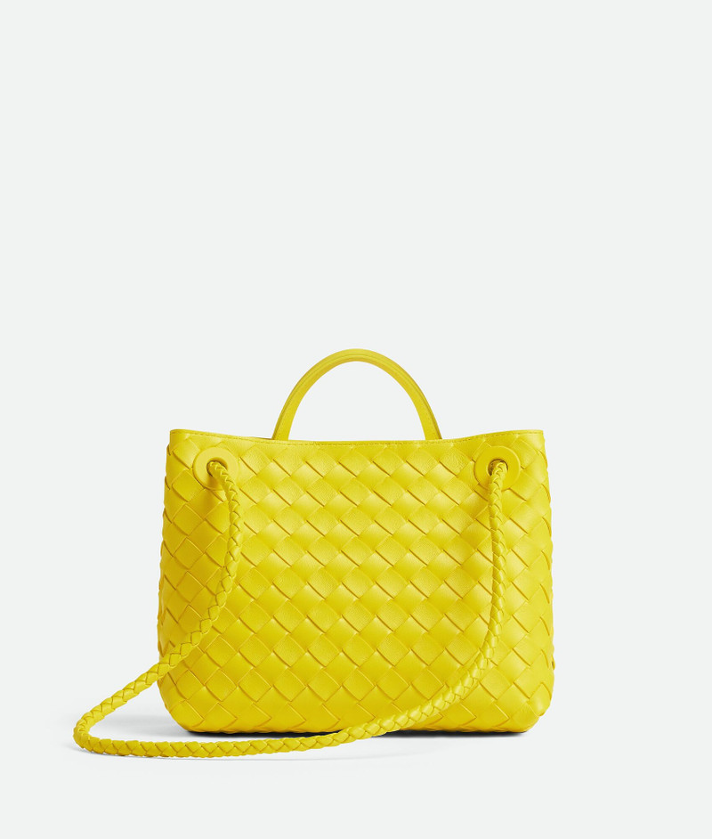 Bottega Veneta Small Andiamo outlook