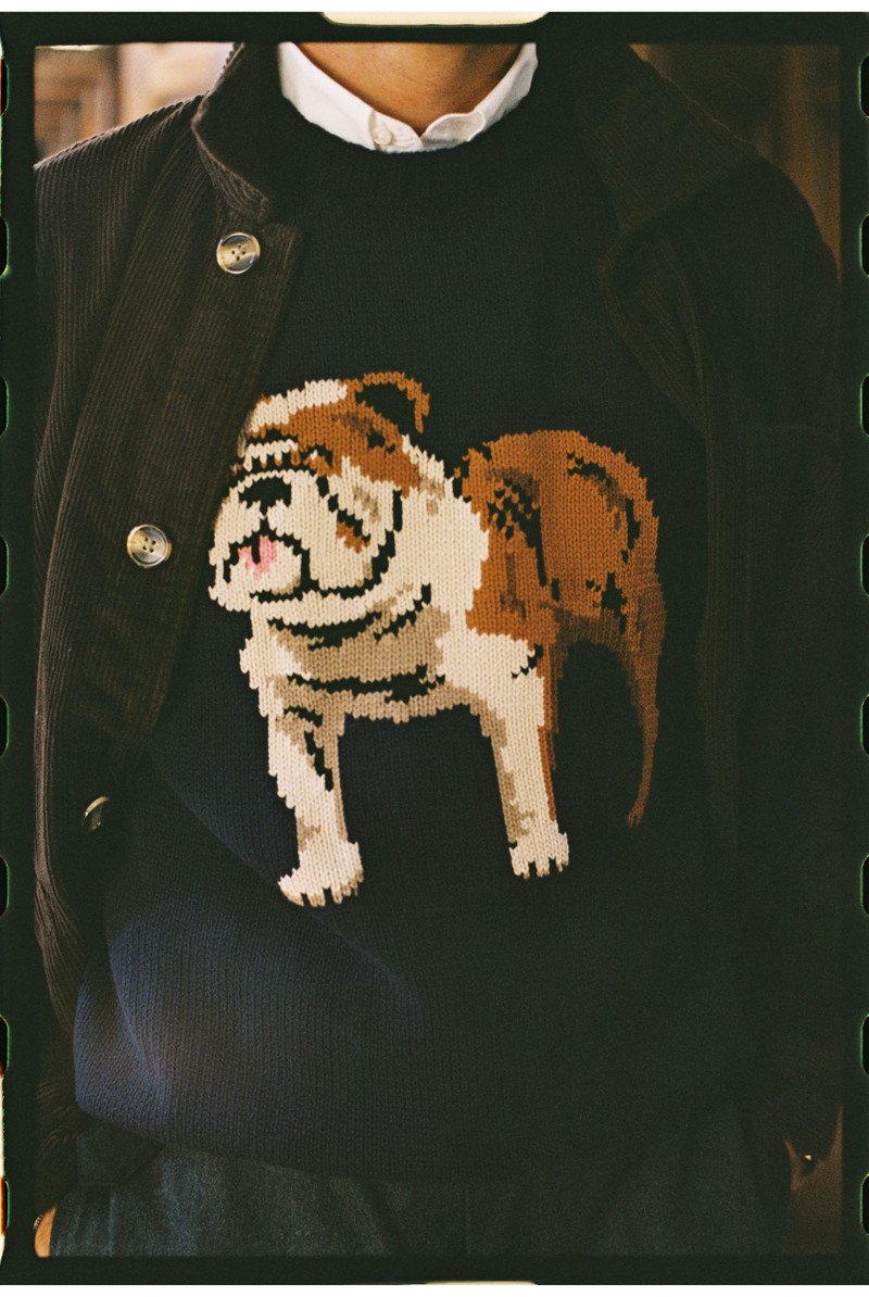 BULLDOG INTARSIA KNIT COTTON SWEATER 5