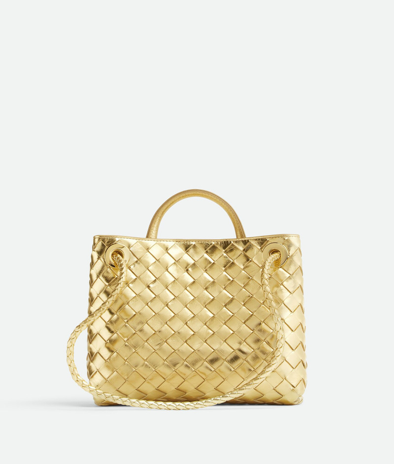 Bottega Veneta Small Andiamo outlook