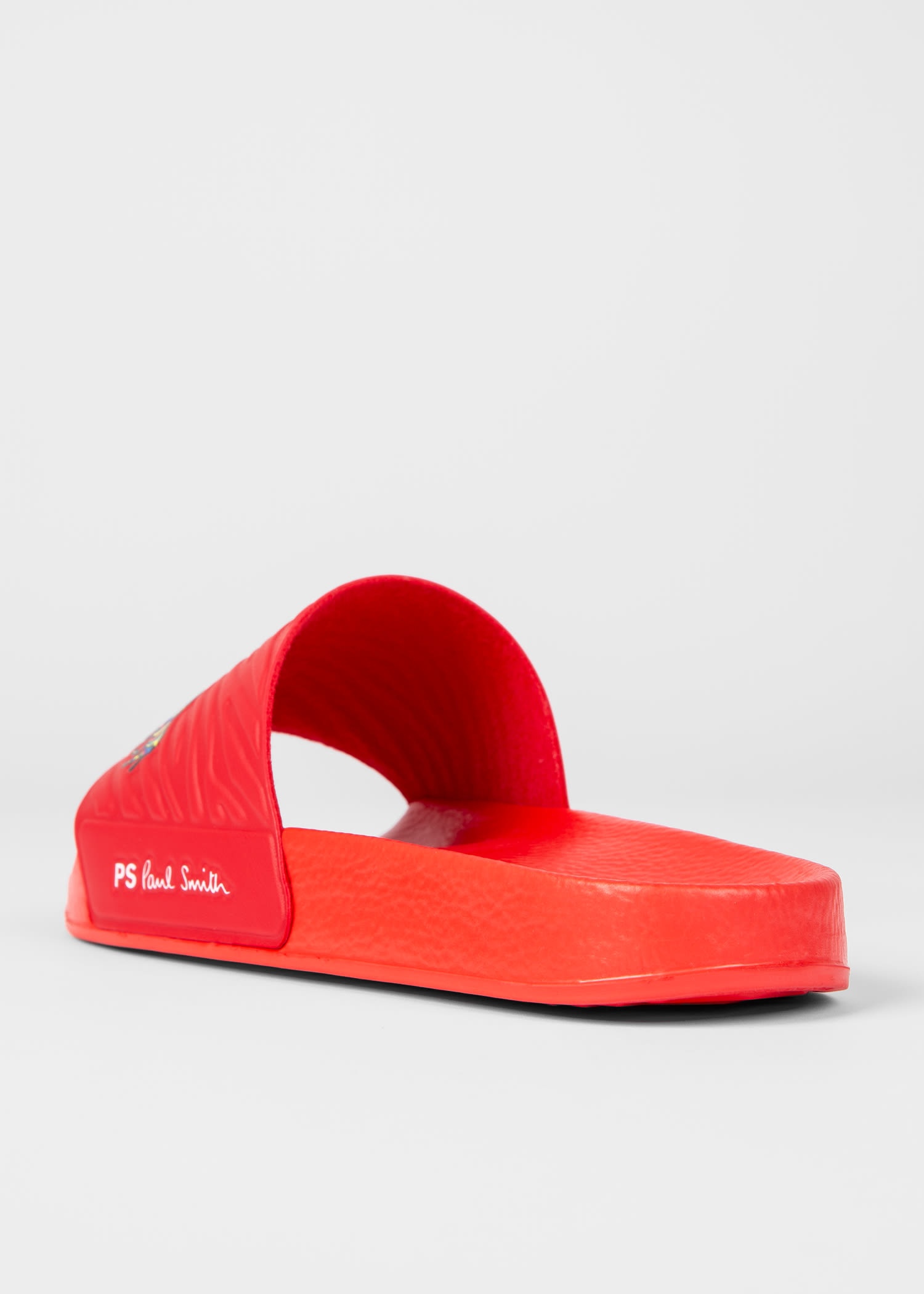 'Nyro' Zebra Logo Slides - 5