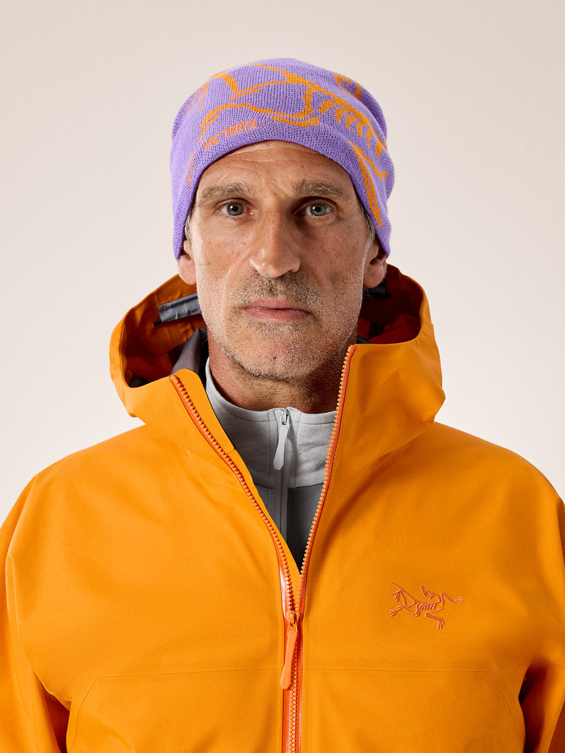 Arc'teryx Bird Head Toque outlook