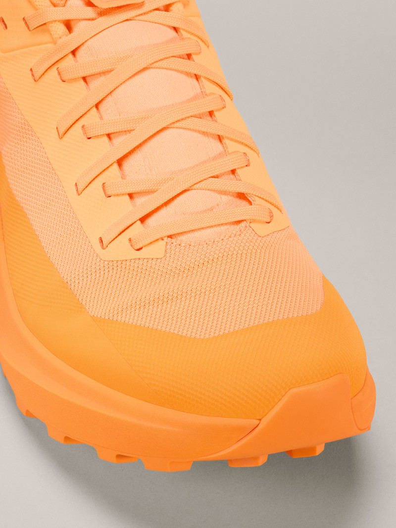 Arc'teryx Norvan LD 4 Shoe outlook