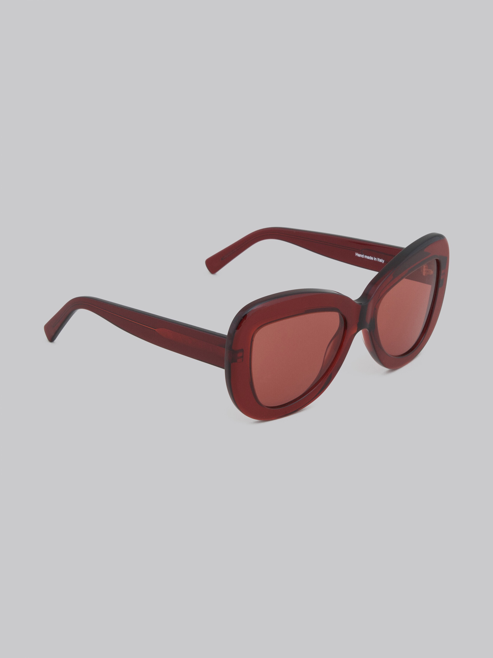 BURGUNDY ACETATE ELEPHANT ISLAND SUNGLASSES - 2