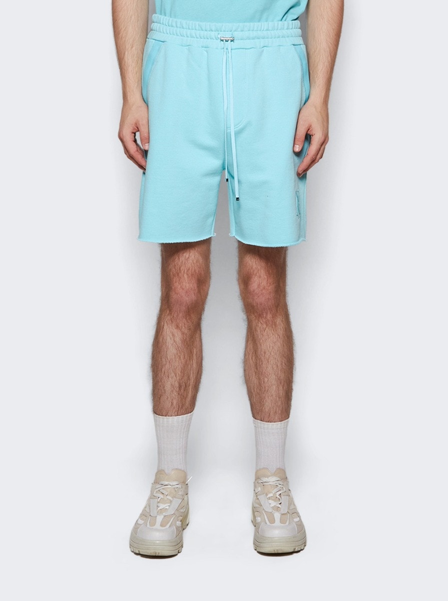 Tonal MA Sweatshort Aqua - 3