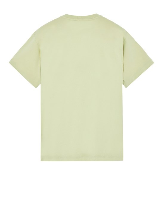 24113 GARMENT-DYED 60/2 COTTON JERSEY  LIGHT GREEN. - 2