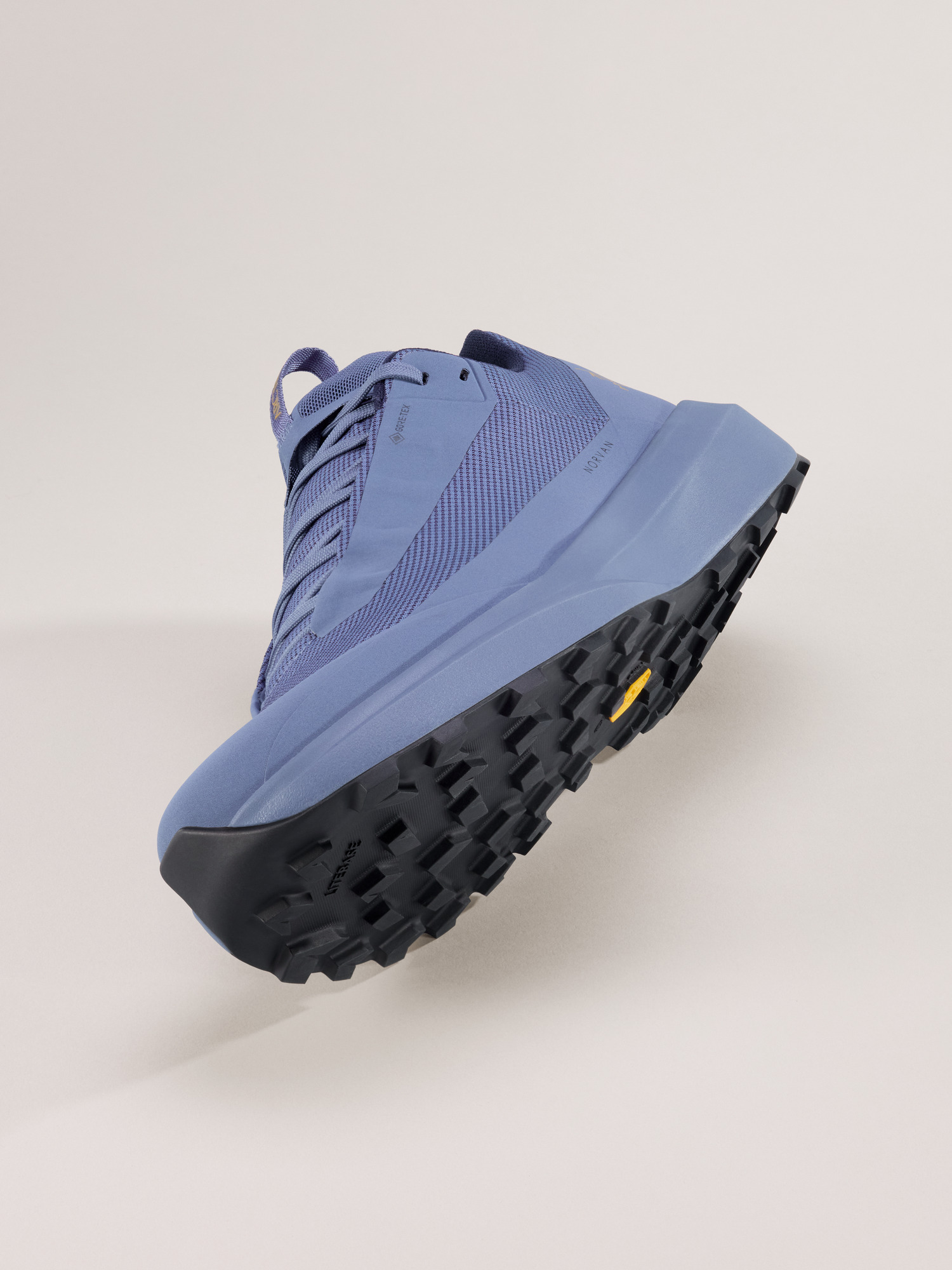 Norvan LD 4 GTX Shoe - 5