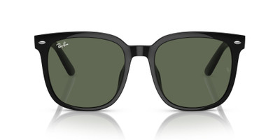 Ray-Ban RB4401D outlook