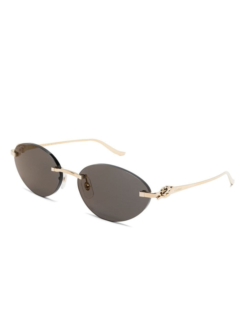 Cartier CT0504S sunglasses outlook