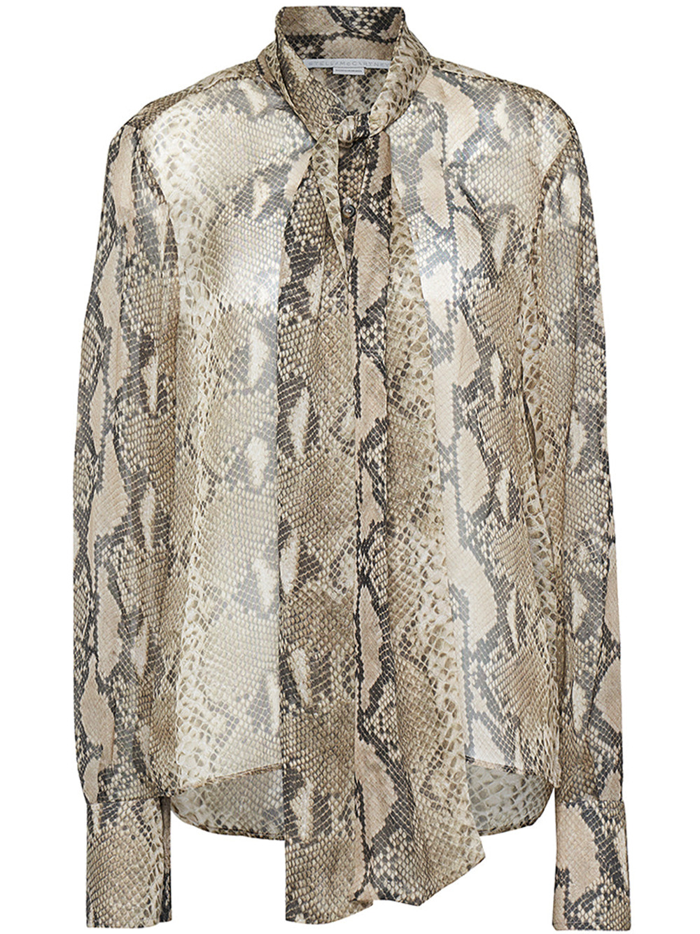 Python Print Shirt - 1