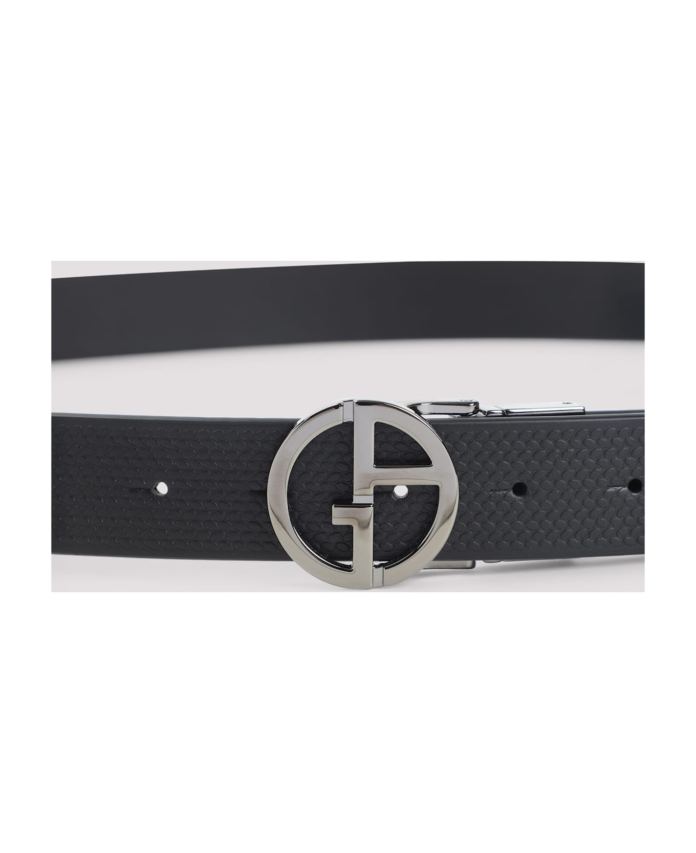 Plate Belt - 5