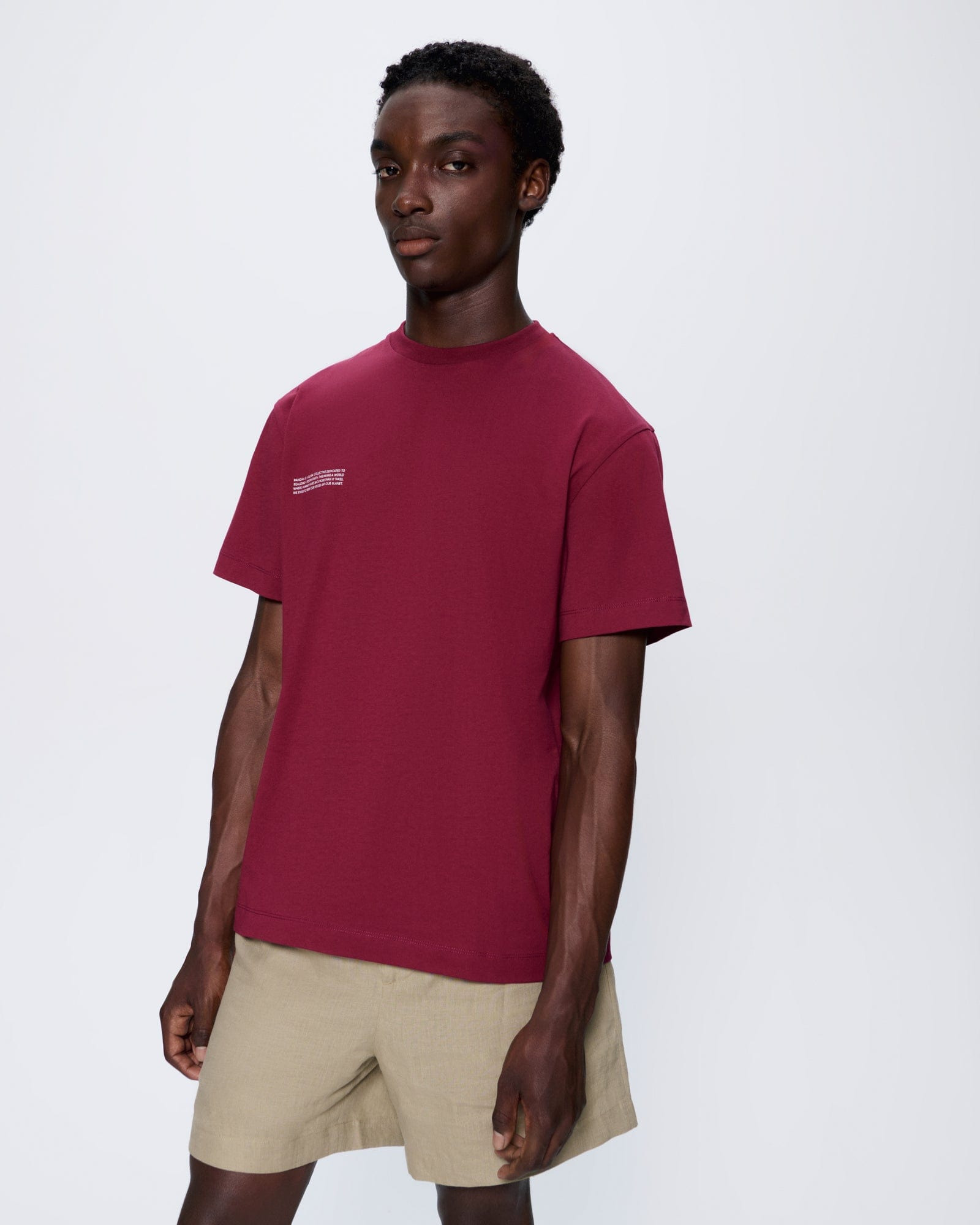 Mens 365 Midweight T-Shirt - Milkyway Maroon - 2