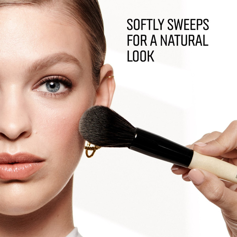 Powder Brush 3
