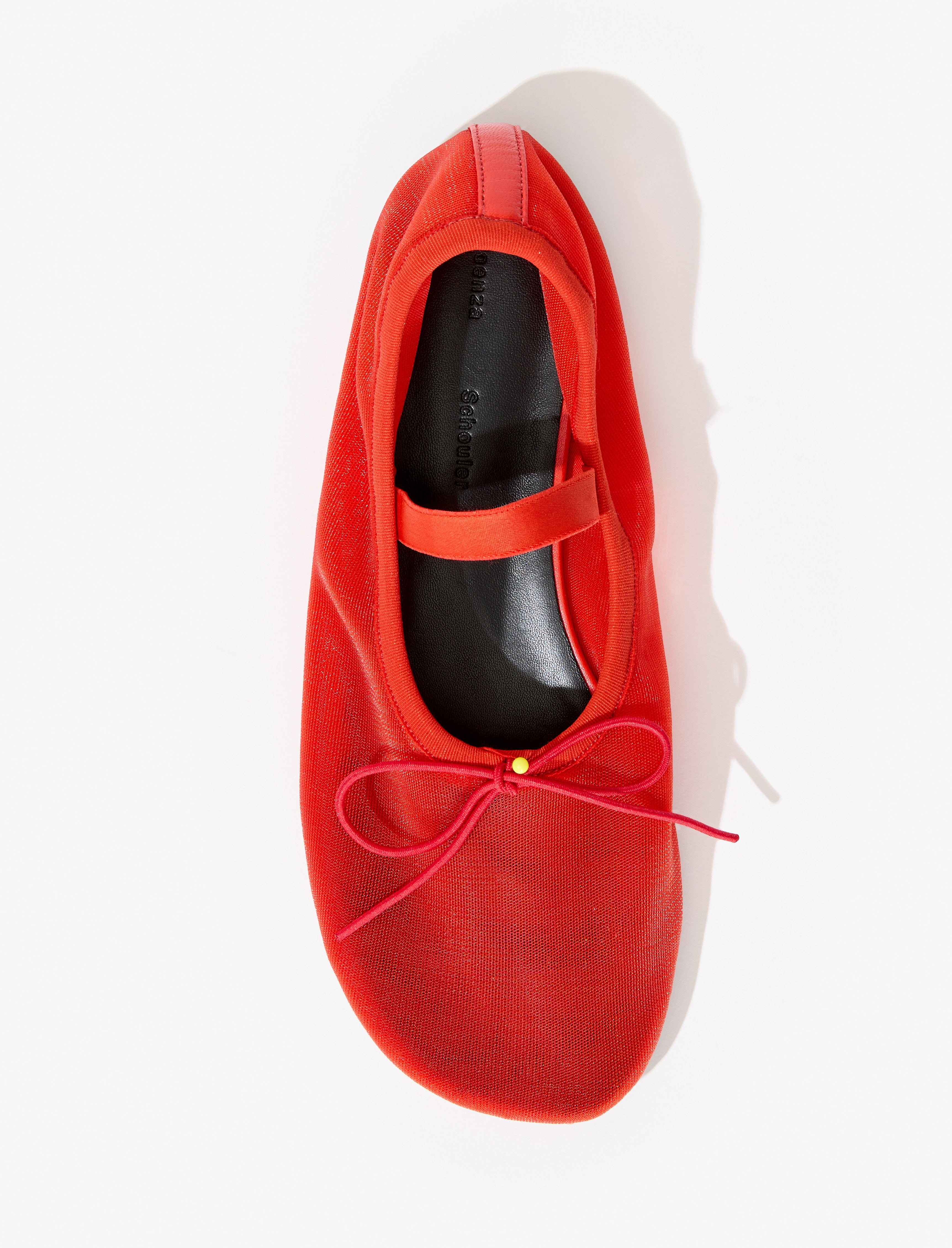 Glove Mary Jane Ballet Flats in Mesh - 5