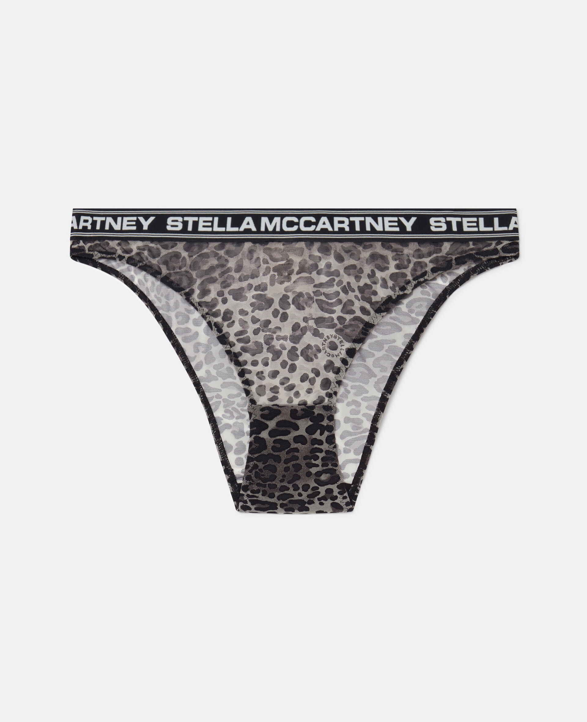 Leopard Print Mesh Bikini Briefs - 1