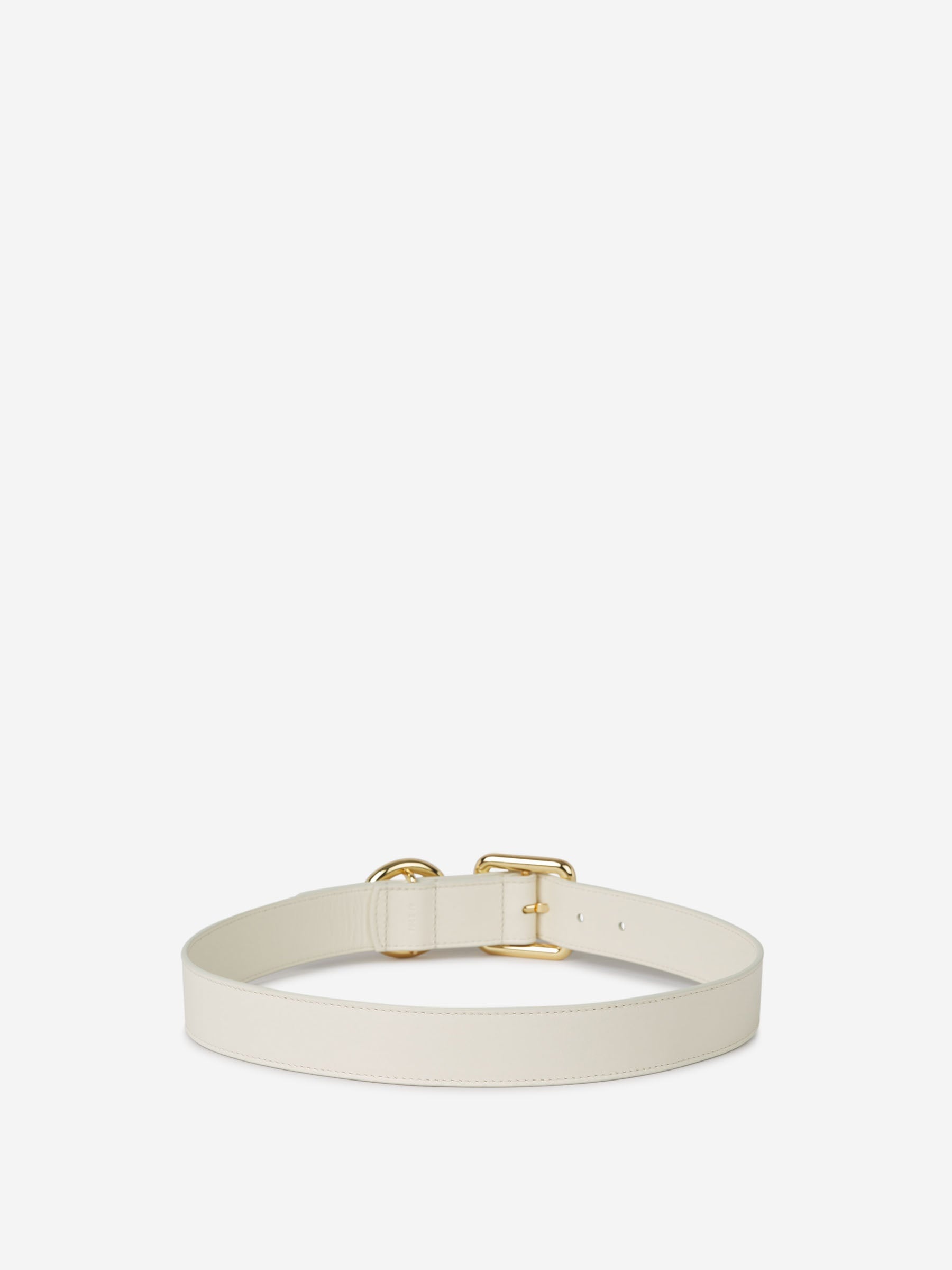 SQUARE CIRCLE BELT - 2