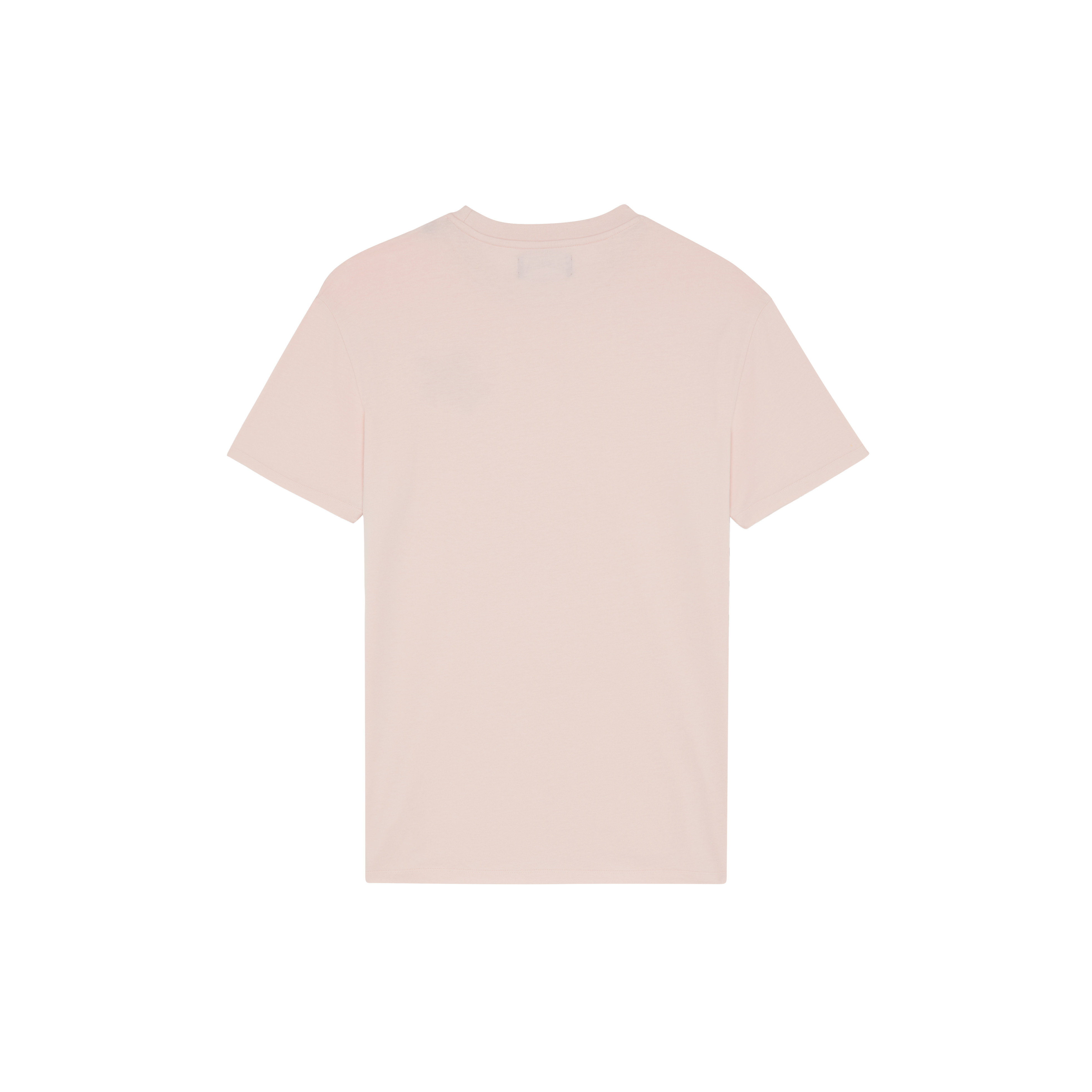 Men Organic Cotton T-shirt Embroidered Turtle - 2