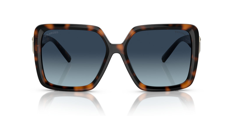 Tiffany & Co. TF4206U outlook