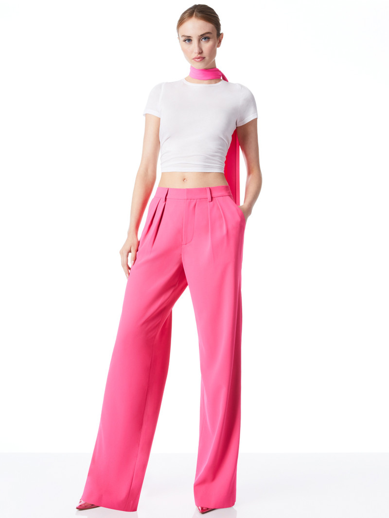 POMPEY HIGH WAISTED PLEATED PANTS 6