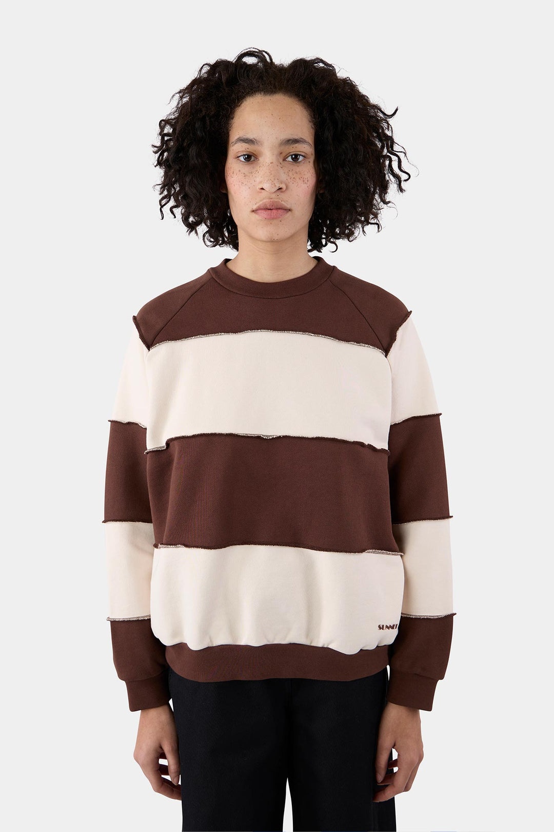 PANEL SWEATSHIRT/ brown & cream stripes - 2