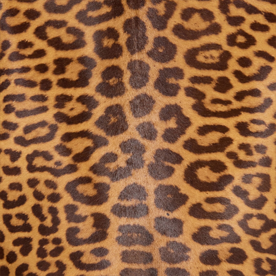 Leather Jacket With Leopard Skin Print - 5