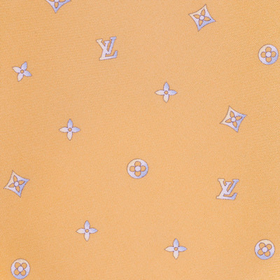 Louis Vuitton Monogram Neon Tie outlook