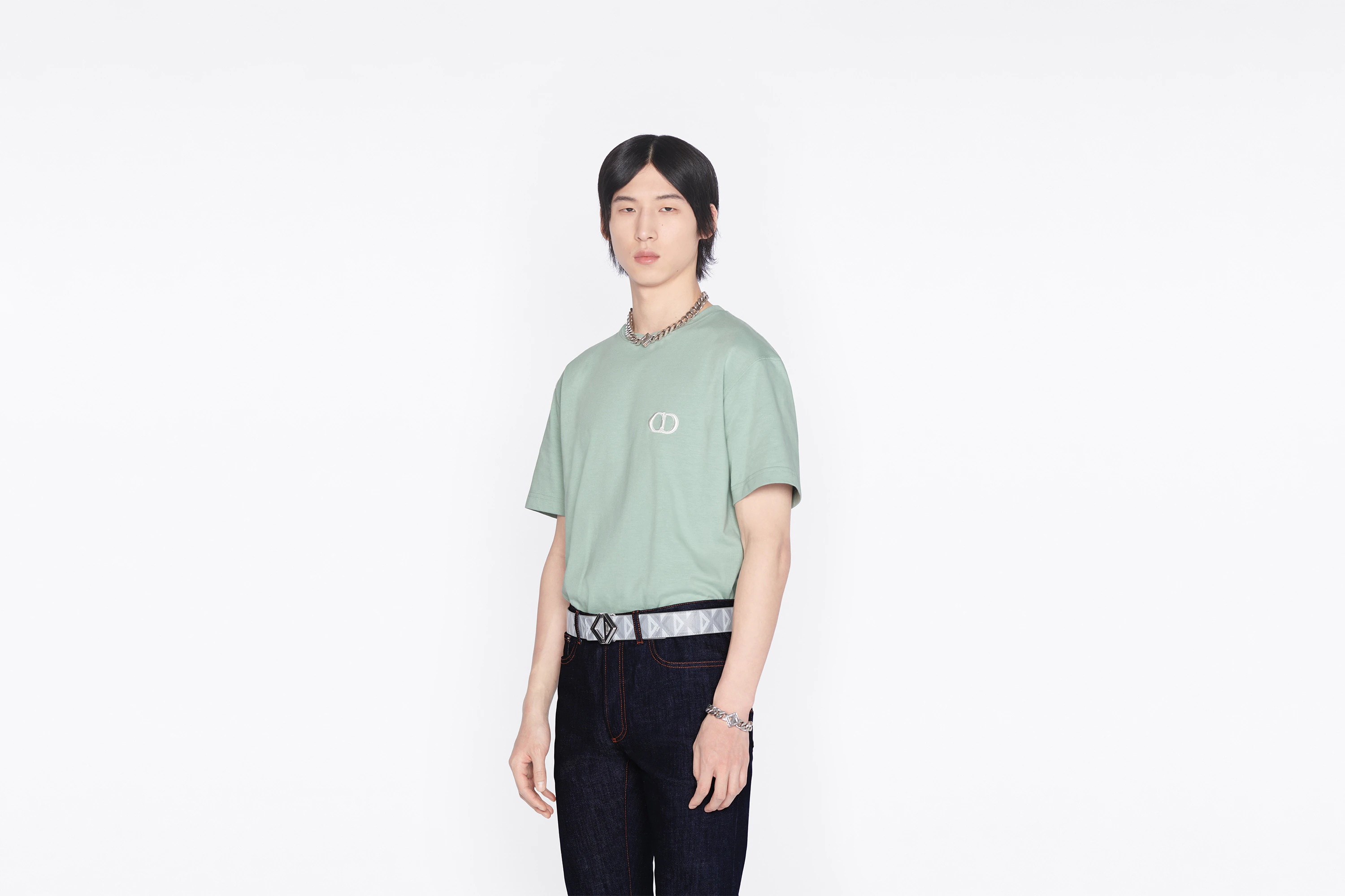Reversible Belt Strap - 5