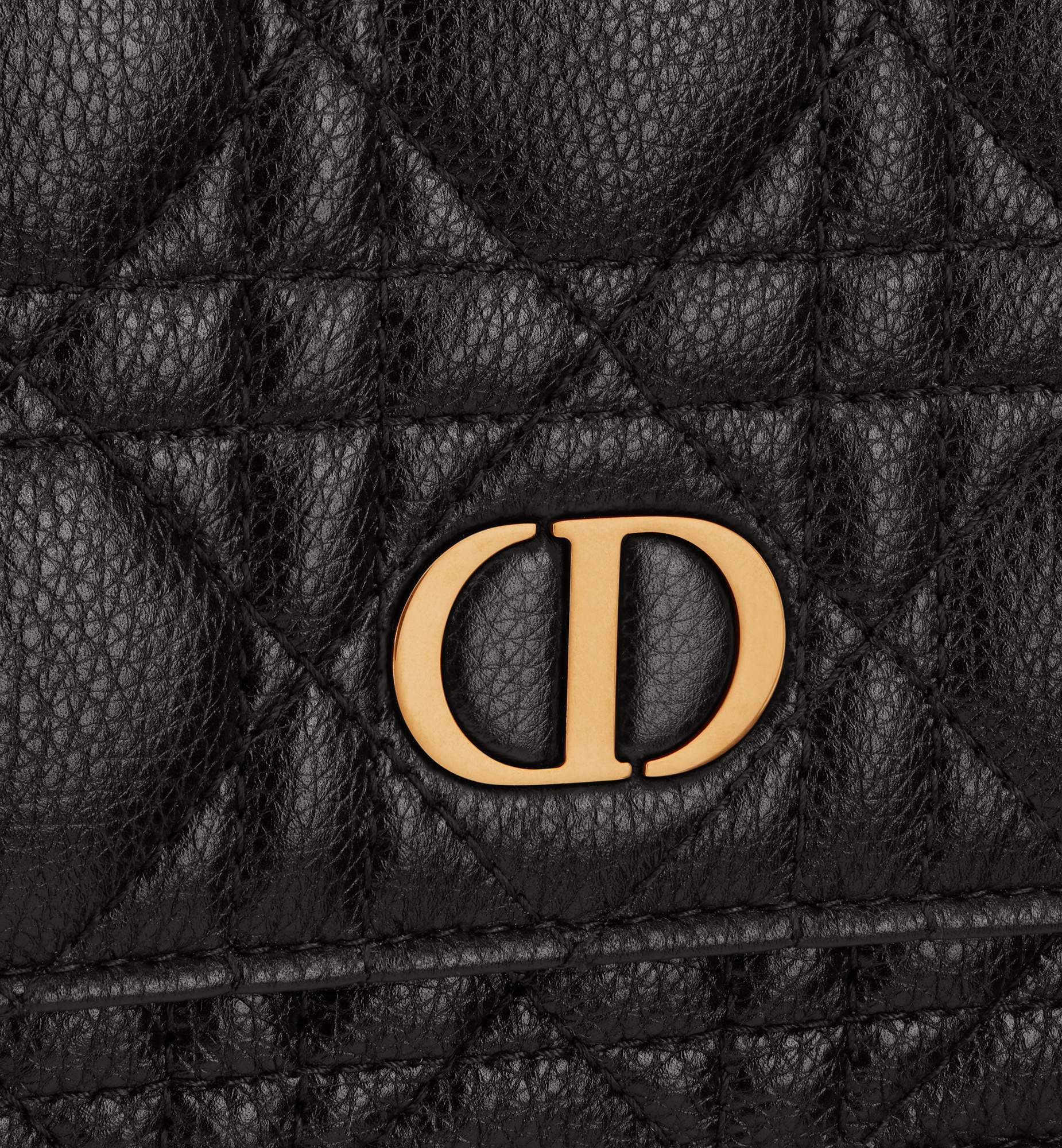 Dior Caro Pouch - 6