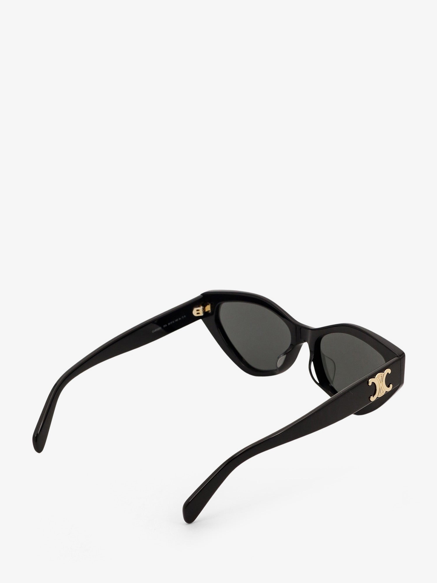 CELINE Celine Triomphe 17 Acetate Sunglasses