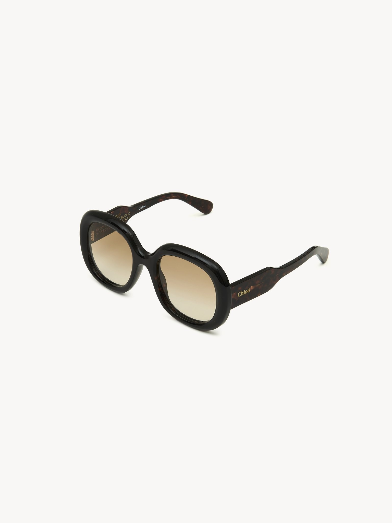 GAYIA SUNGLASSES - 1