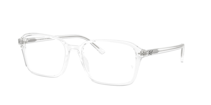 RAIMOND OPTICS 3