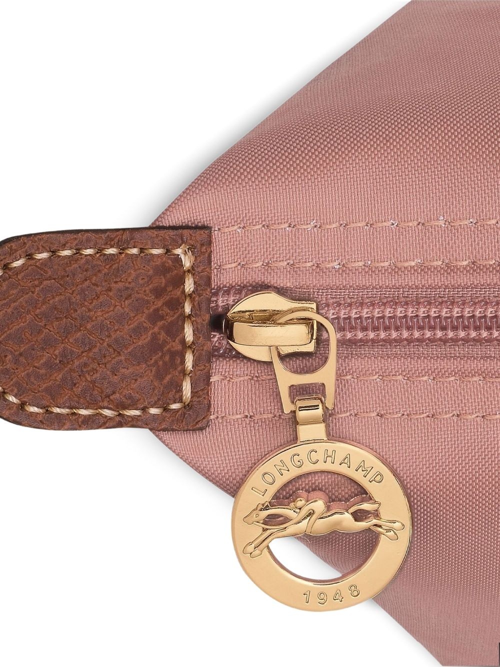 medium Le Pliage tote bag - 6