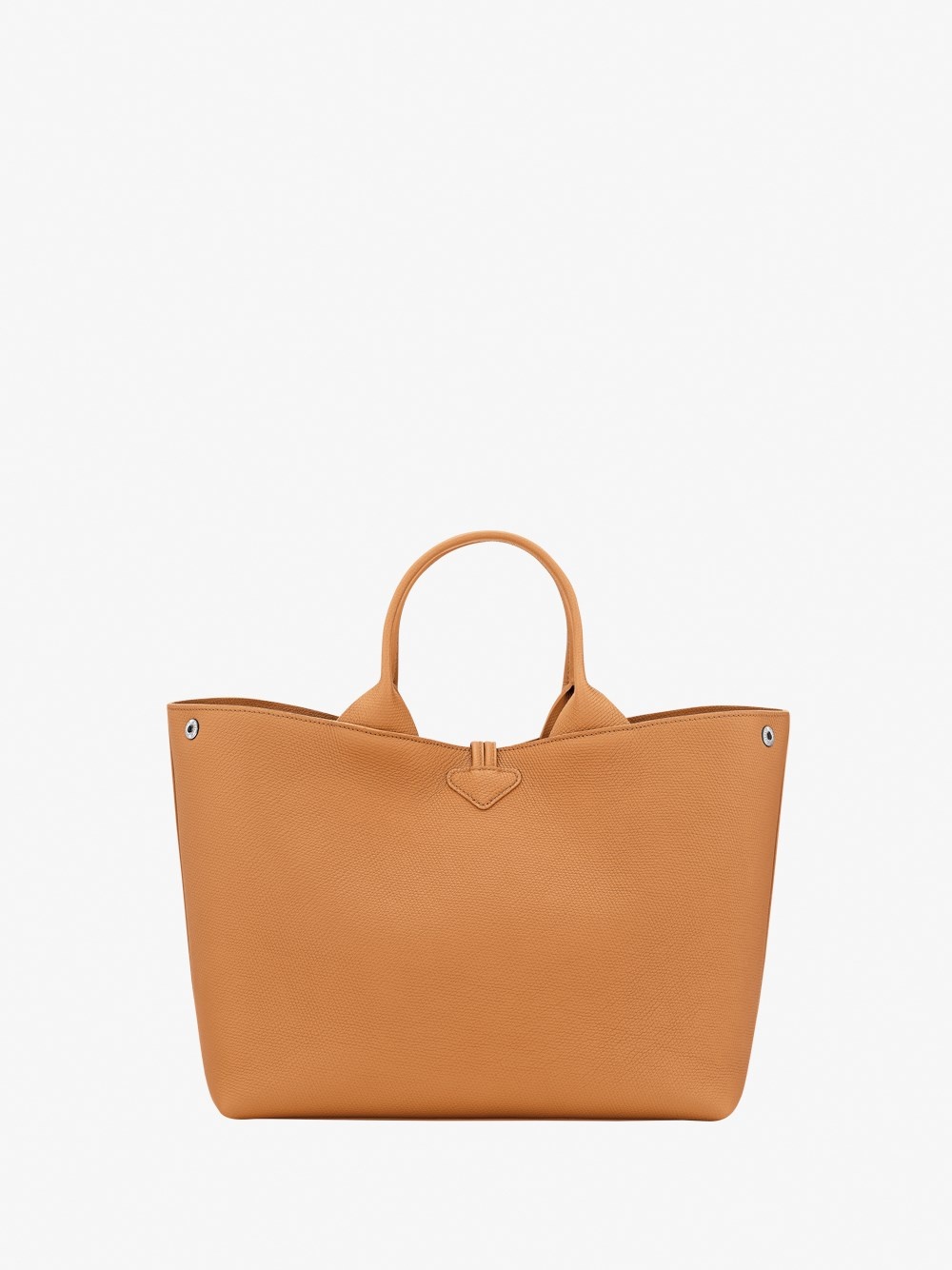 `Le Roseau` Large Handbag - 2