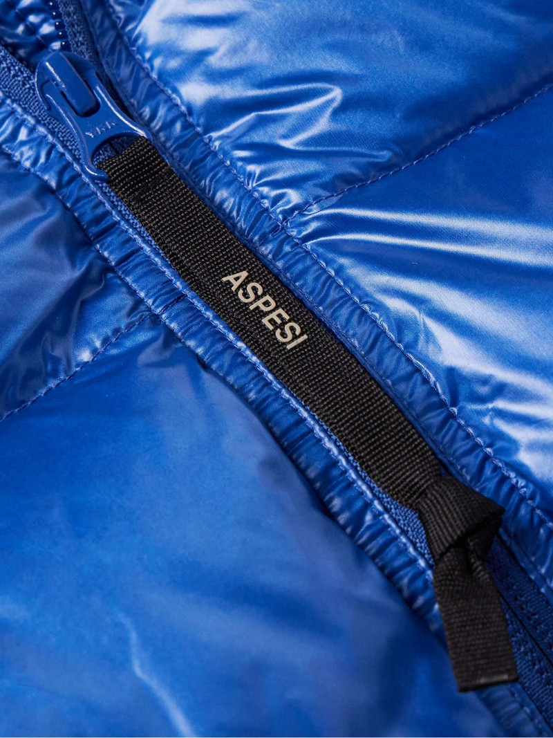 Quilted Nylon Hooded Down Jacket 4