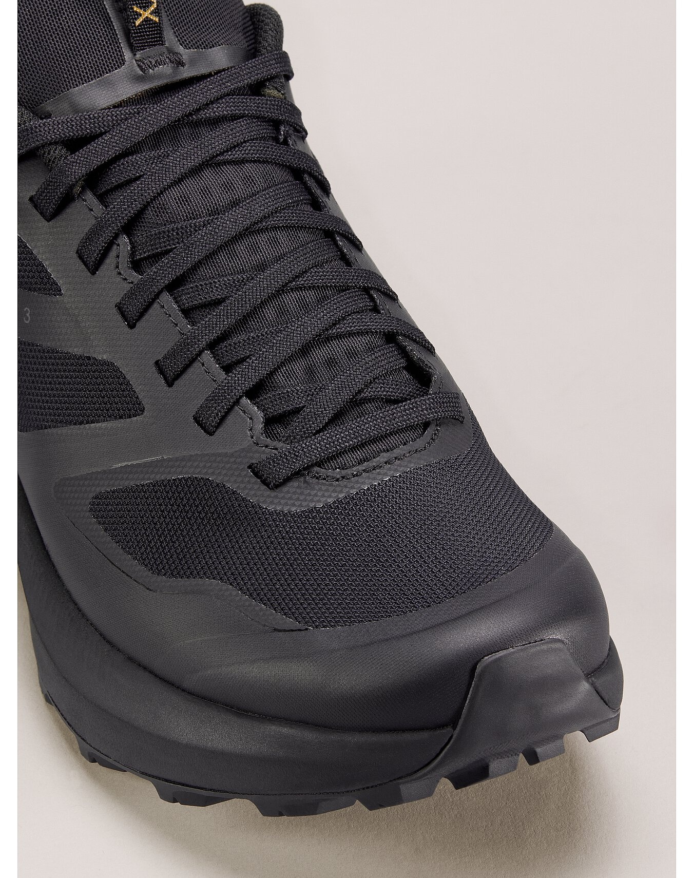 Norvan LD 3 GTX Shoe - 2