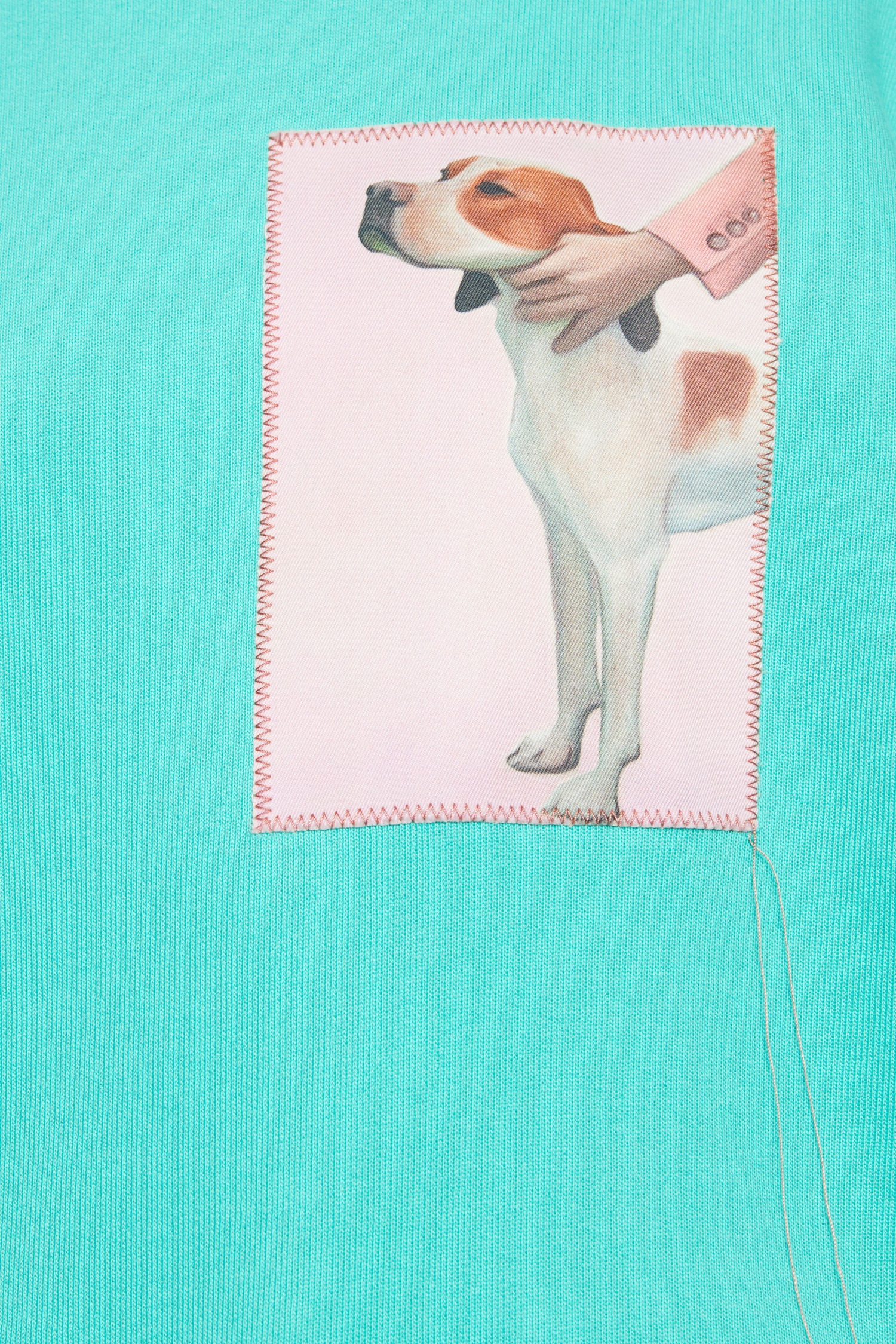 Dog-patch sweatshirt turquoise blue - 5