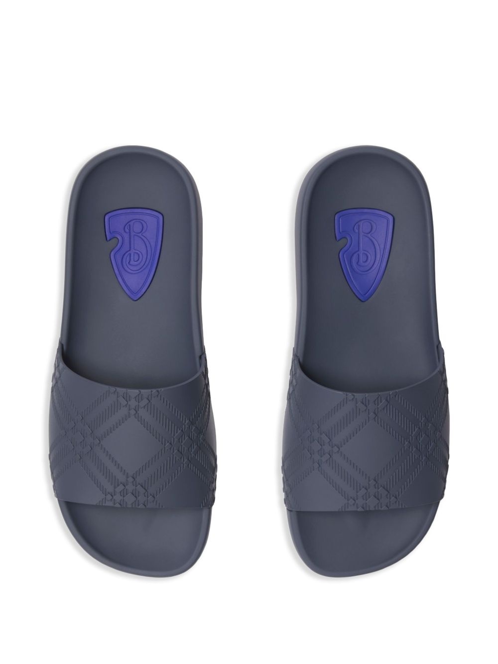check-embossed slides - 4