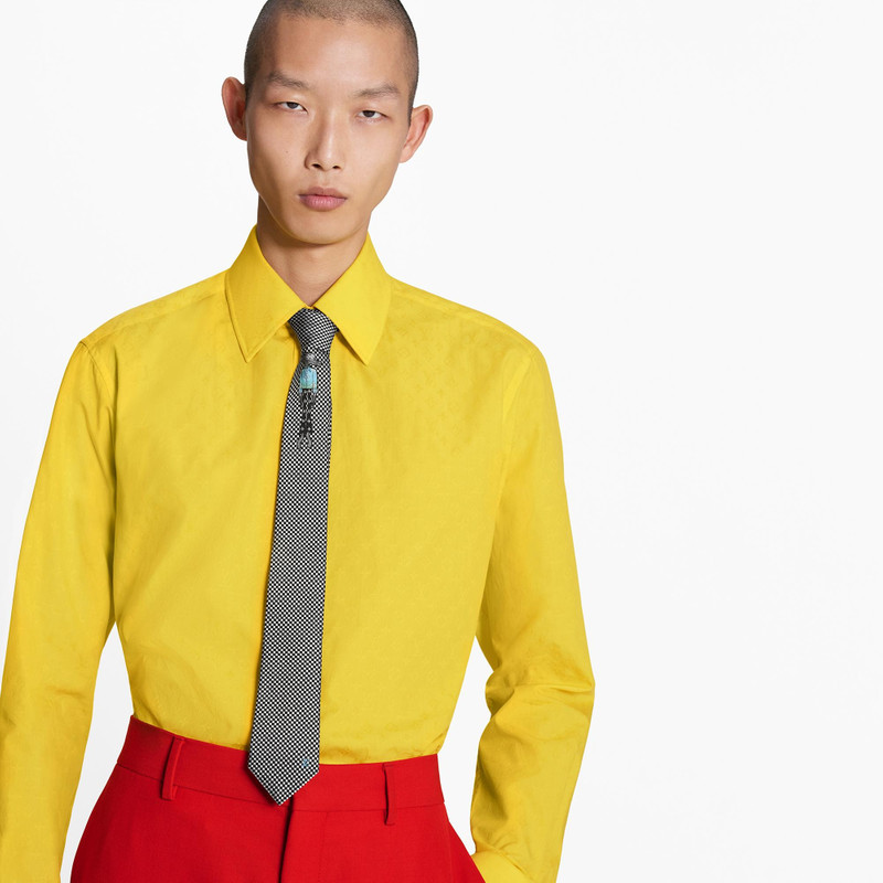 Louis Vuitton LV Friends Damier Tie outlook