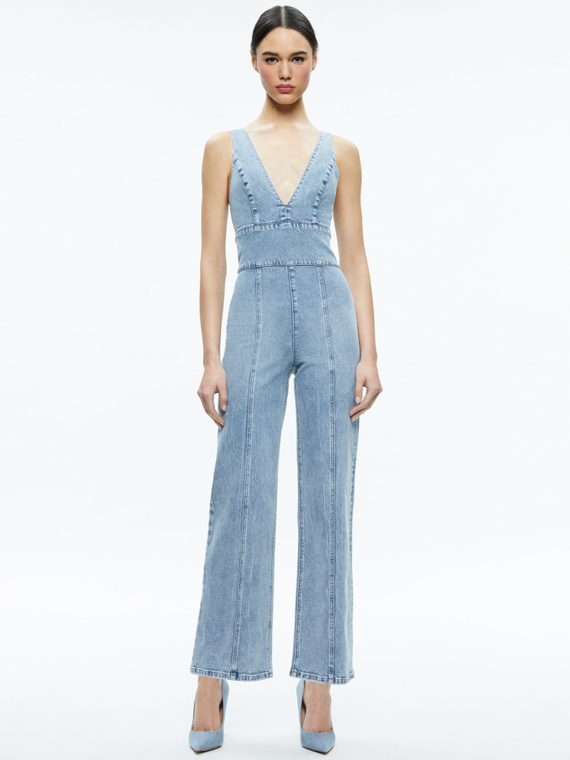 SANDRA DEEP V NECK JUMPSUIT 2