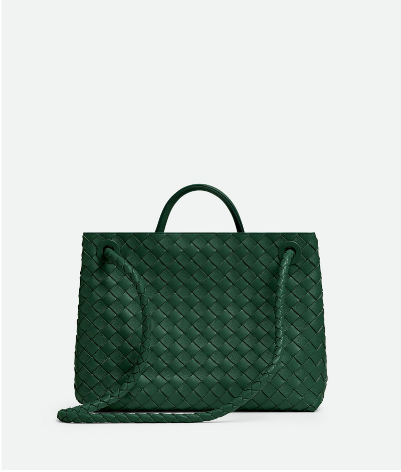 Bottega Veneta Medium Andiamo outlook