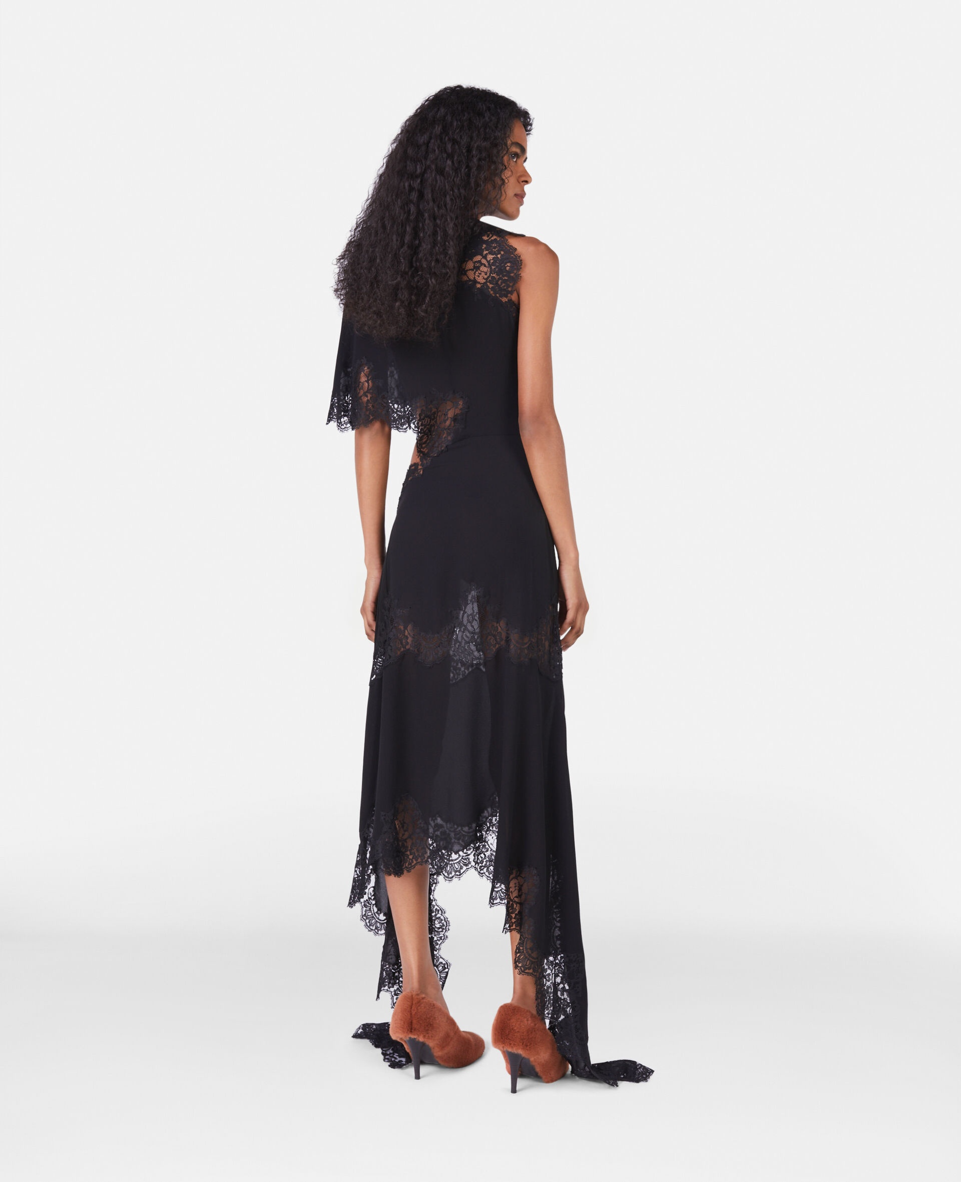 Guipere Lace Silk Georgette Dress - 3