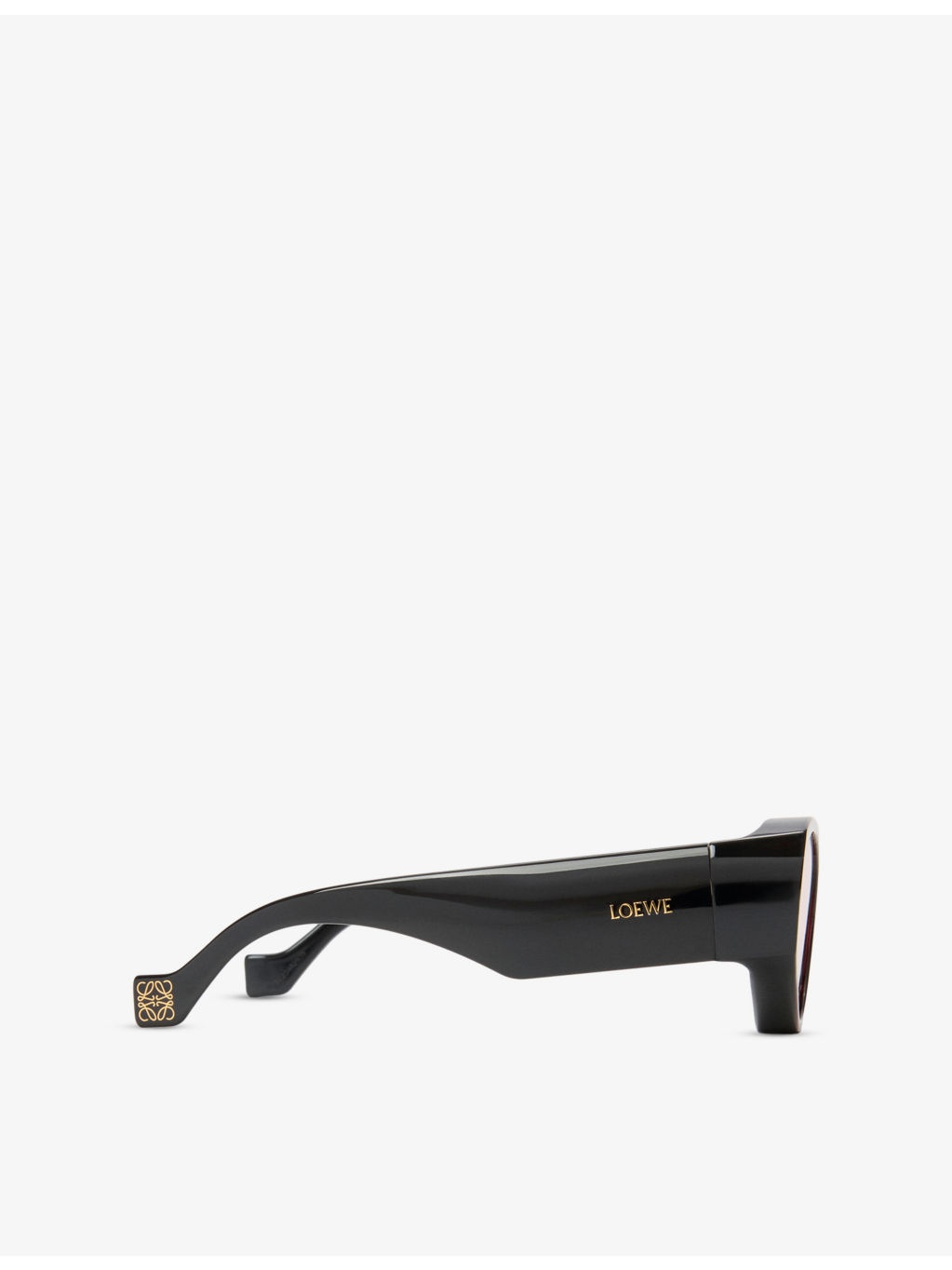 Loewe x Paula's Ibiza G314FRLX011100 Cat-Eye Acetate Sunglasses - 4