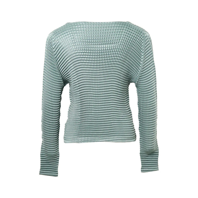 ISSEY MIYAKE Suede Like Pleated Top outlook