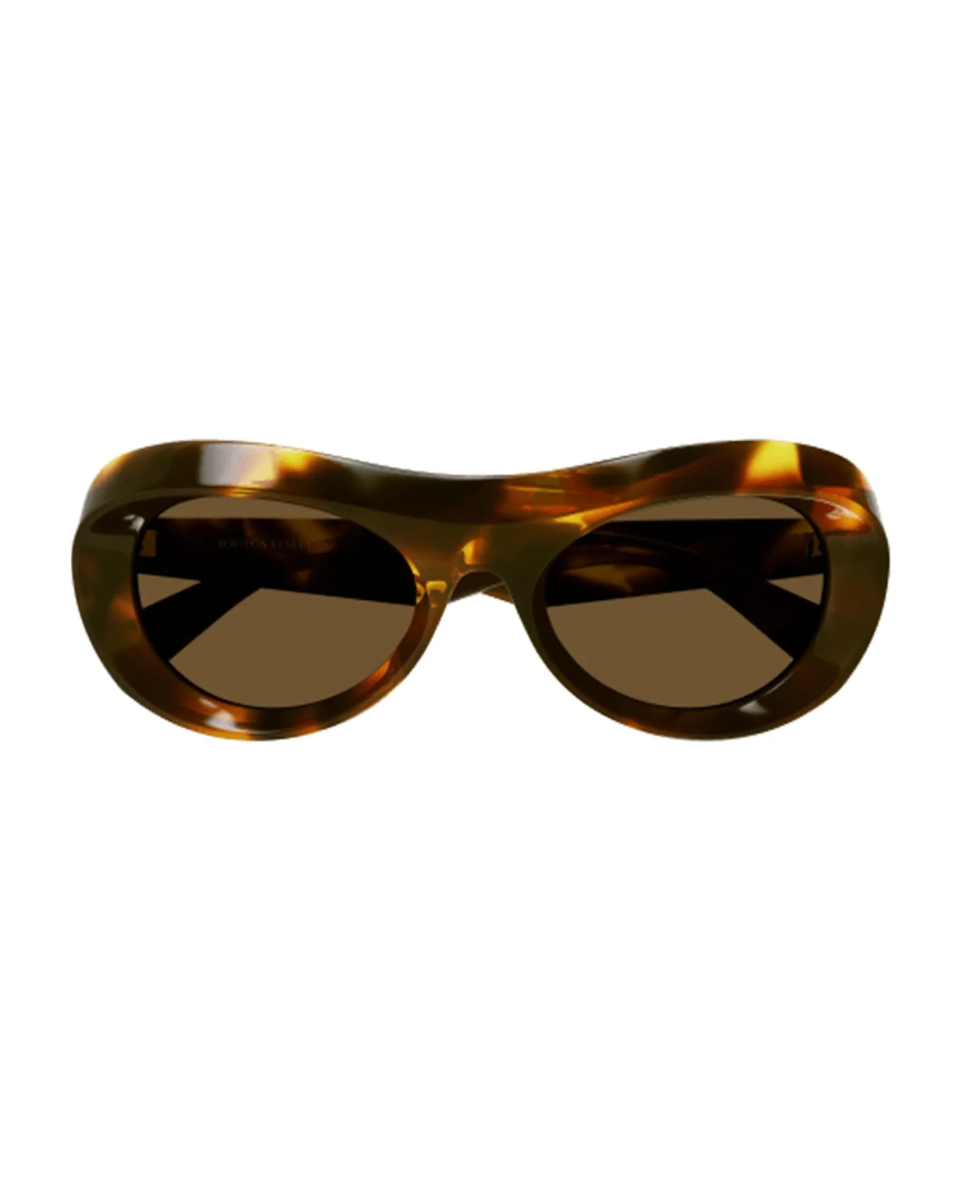 Bv1284s-002 - Havana Sunglasses - 1