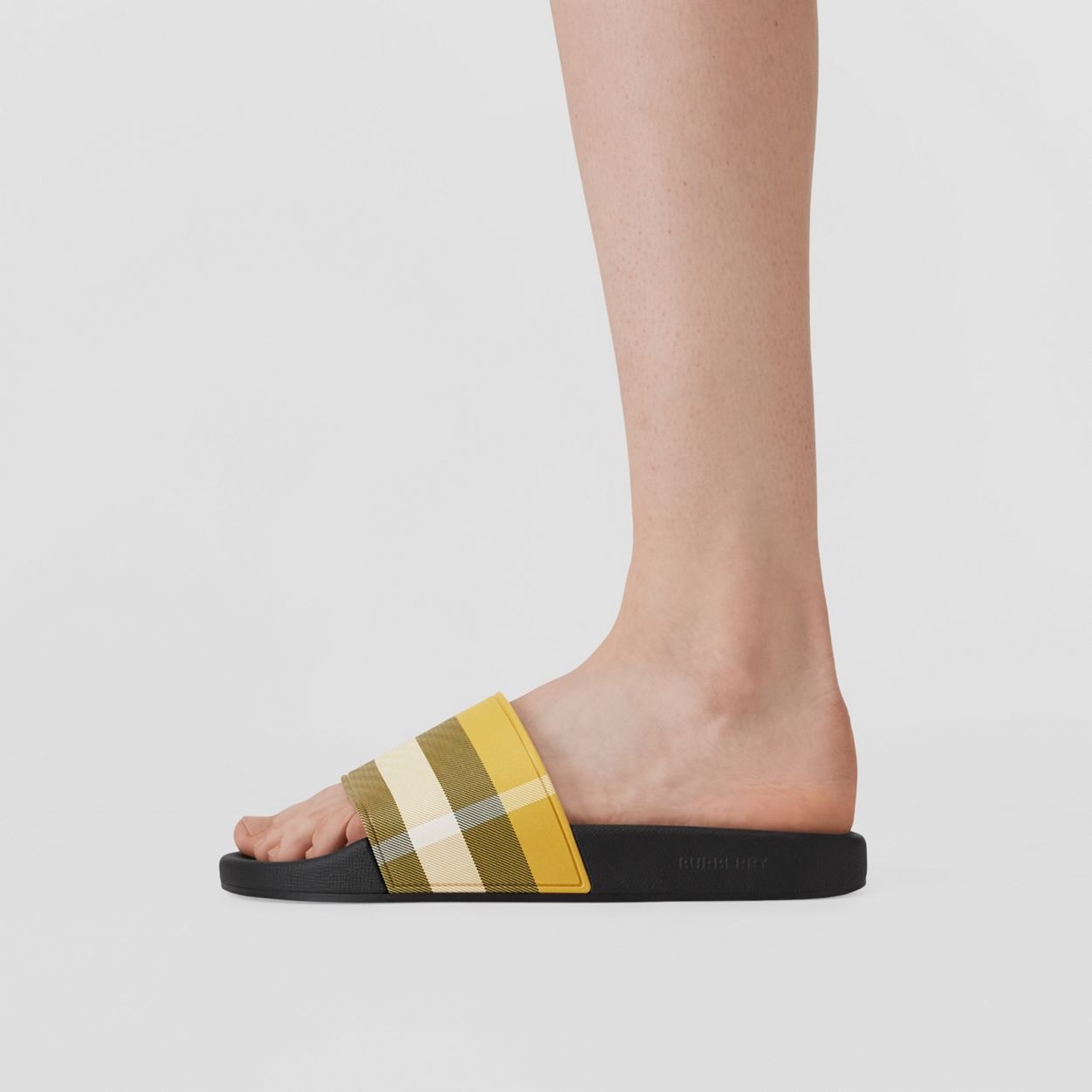 Check Print Slides - 3