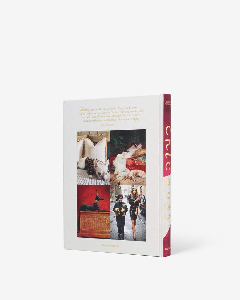 ASSOULINE Chic Dogs outlook